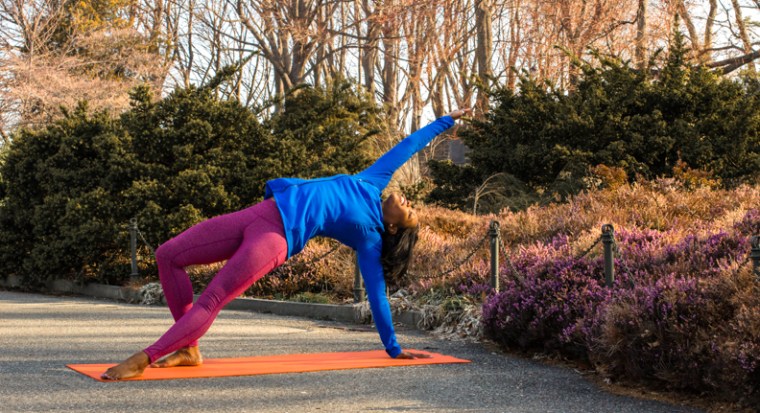 YOGA/ROBYNJEFFRIES/REVERSEDOG